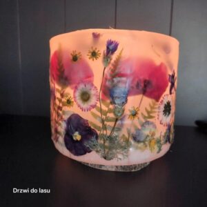 Lampion botaniczny z drzwi do lasu (S 2)